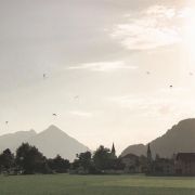 网友昵称：青山