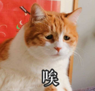 微信朋友圈设置三天可见了吗?