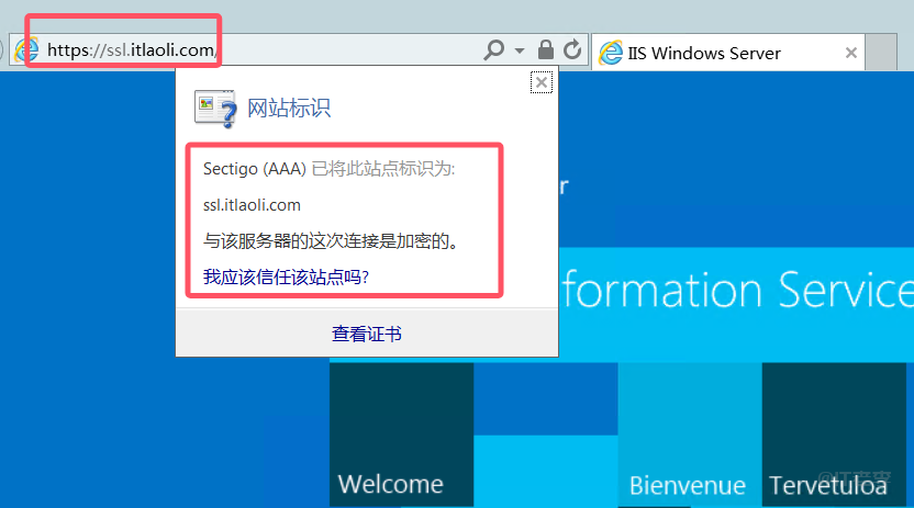 Windows环境下IIS安装和部署SSL证书的图文记录
