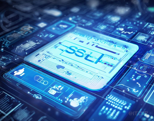 Windows环境下IIS安装和部署SSL证书的图文记录
