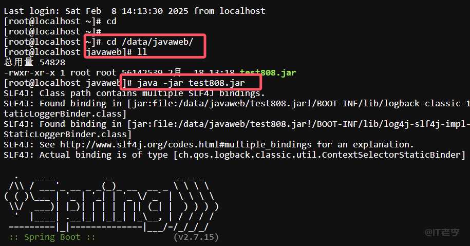 宝塔面板Java项目Spring Boot类型设置完成后无法启动怎么解决